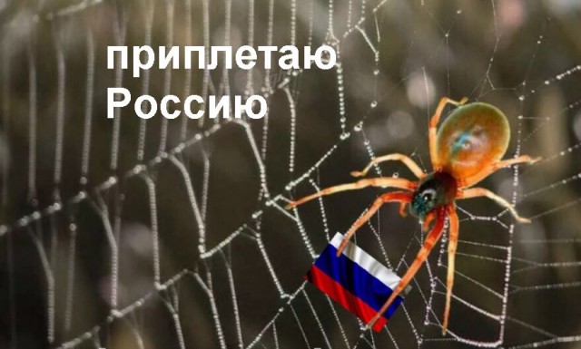 У тебя есть бассейн? Я иду к тебе