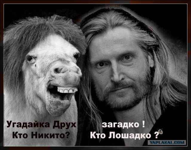 Фотожаба: Никита Джигурда
