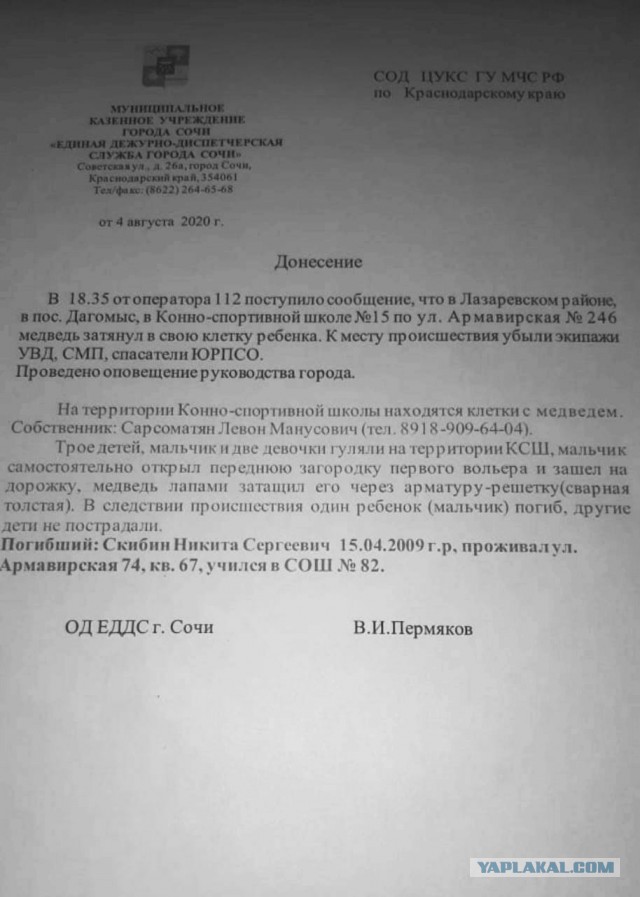 В Сочи медведи загрызли 11-летнего мальчика