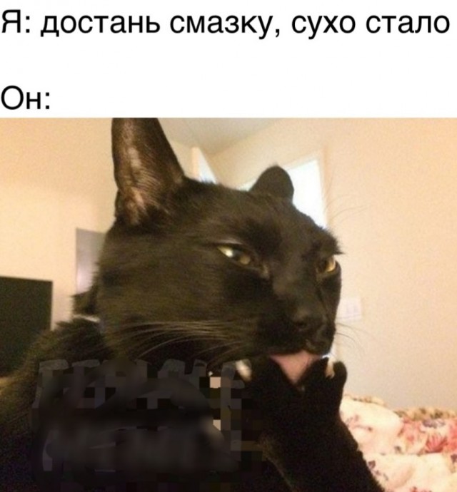 Бредзона (без кудябликов)
