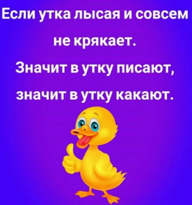 Чернушка 26.12.20
