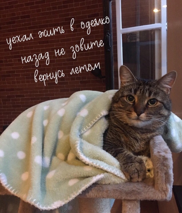 Подборка забавной живности