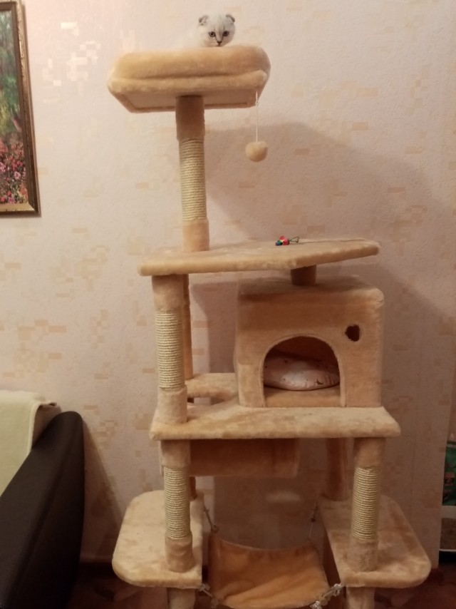 Домик для котейки