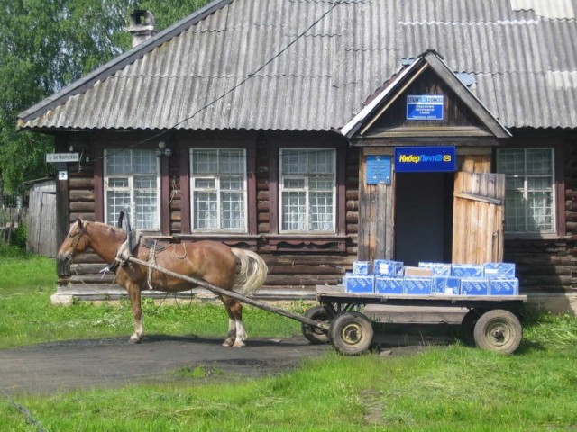 Скотсети и прочие интернеты 19.03.2021