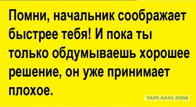 Ситуации, которые могли произойти только с управленцами