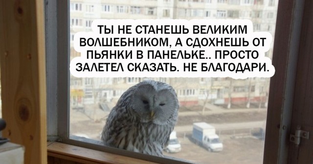 Так себе картинки 11.07.21