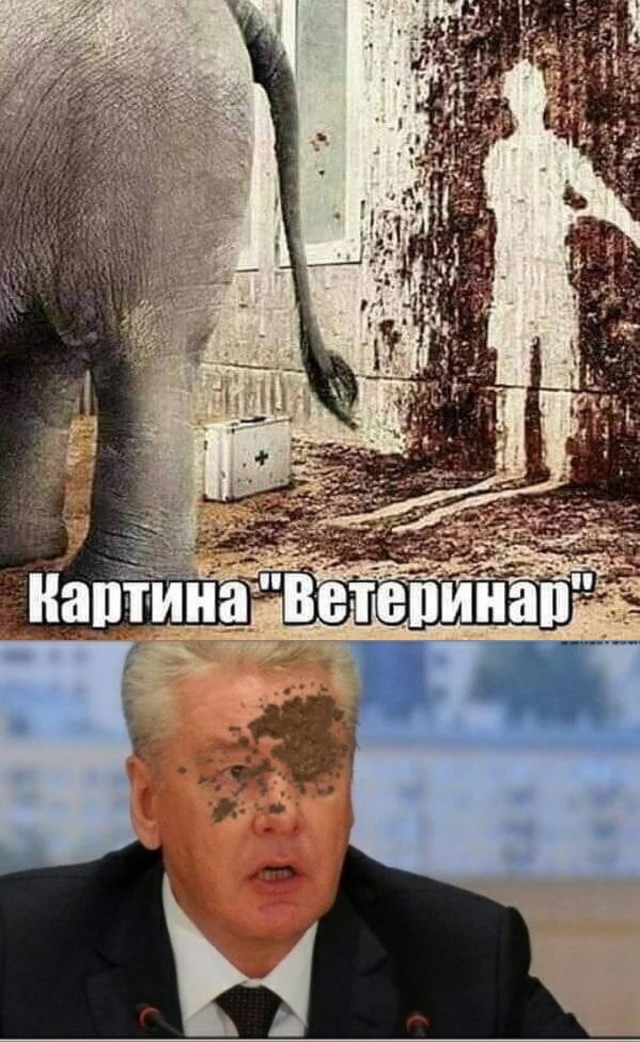 Москва с понедельника отменяет QR-коды