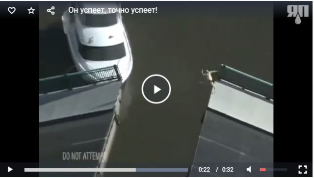 Он успеет, точно успеет!