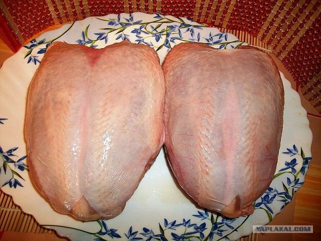 International одной книги., В память о Дженибеке.