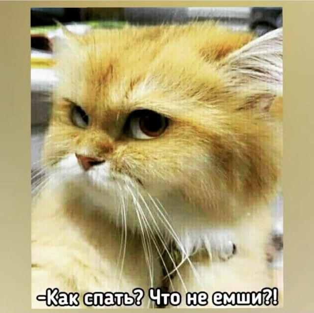 Картинки и мемы, всем прекрасных выходных