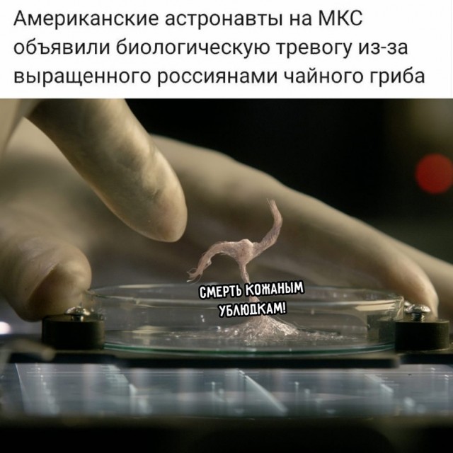 Весёлый полтишок 15.10