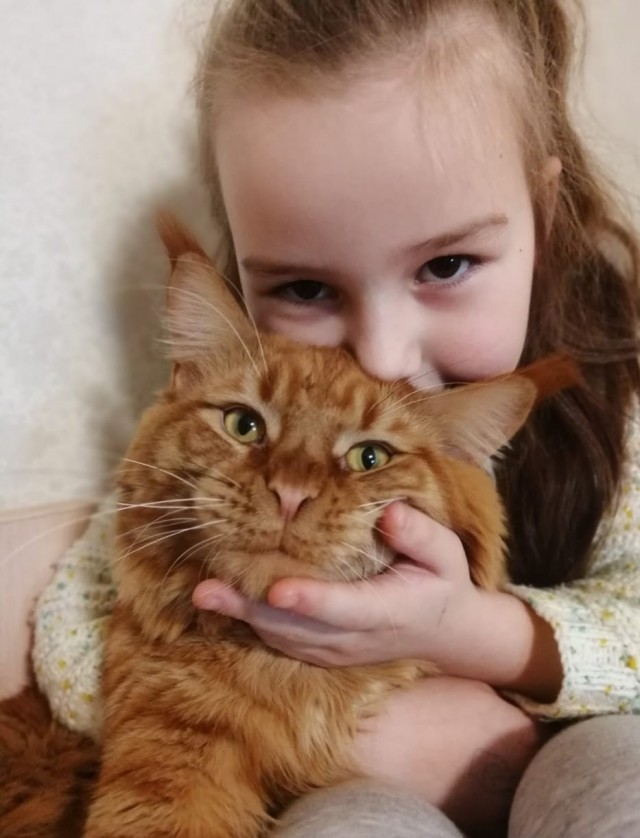 Новая хозяйка (к котовторнику)
