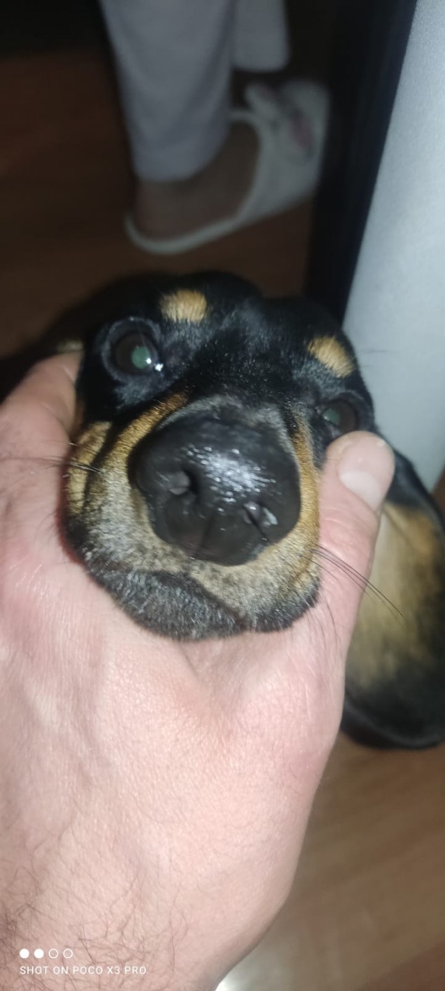 Нос