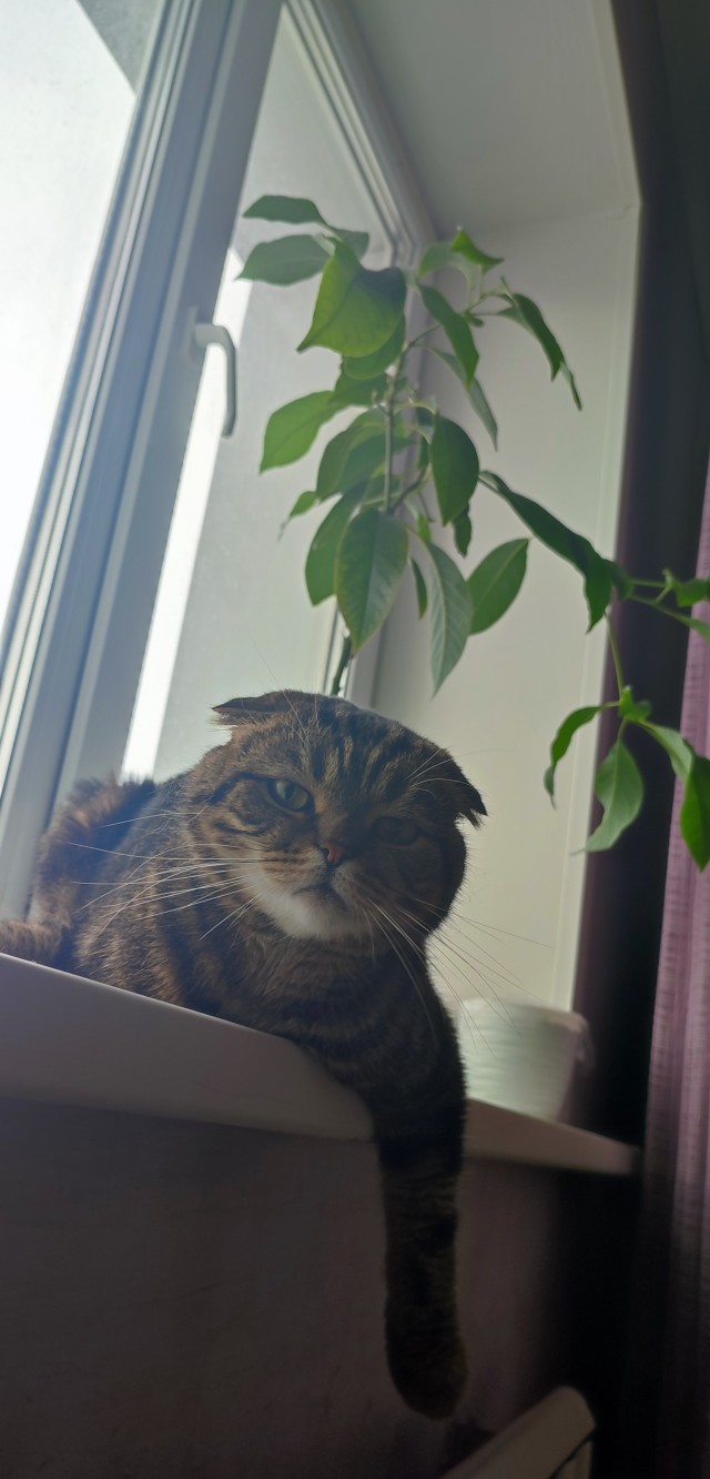 А что это мы котовторник не начинаем? Время пришло!
