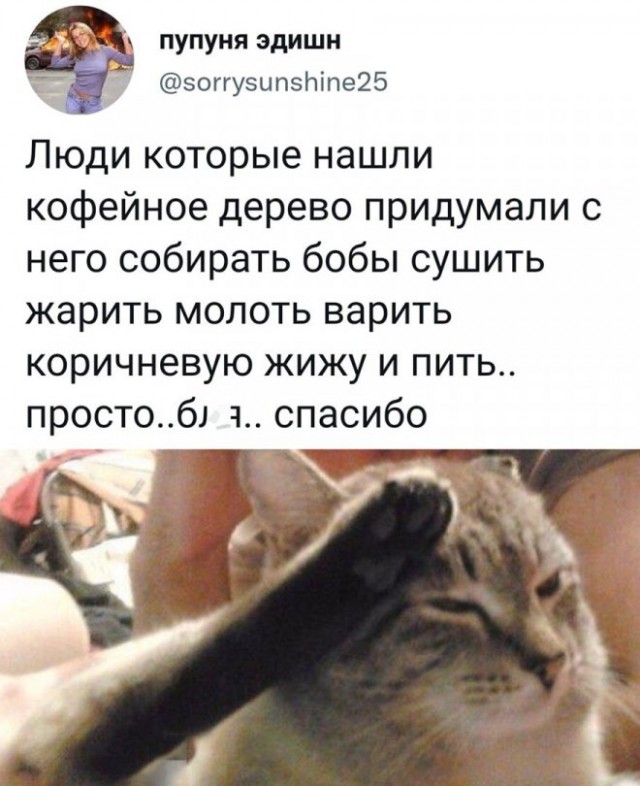 Картинки и мемы для настроения 31.03.2022