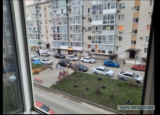 А какая у Вас сегодня весна за окном?!