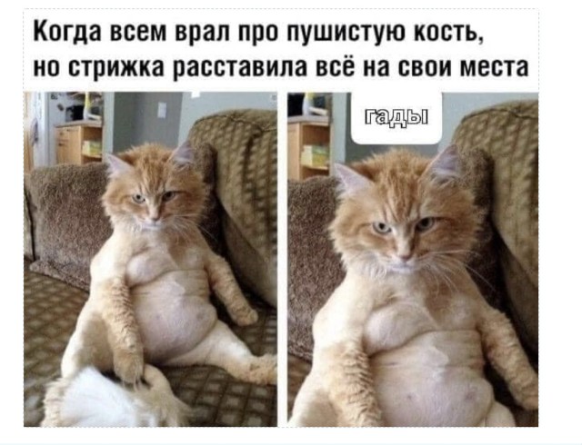 Так себе картинки 04.04.22