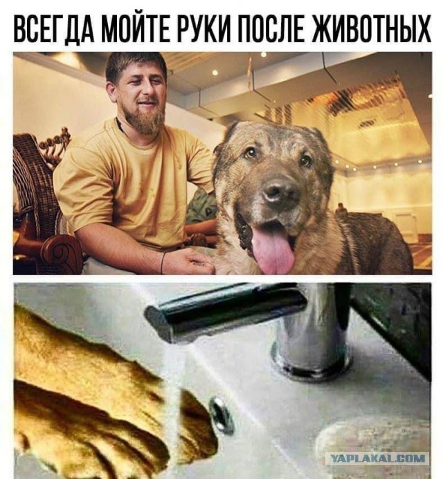 Кадыровцы раздают продукты на Украине