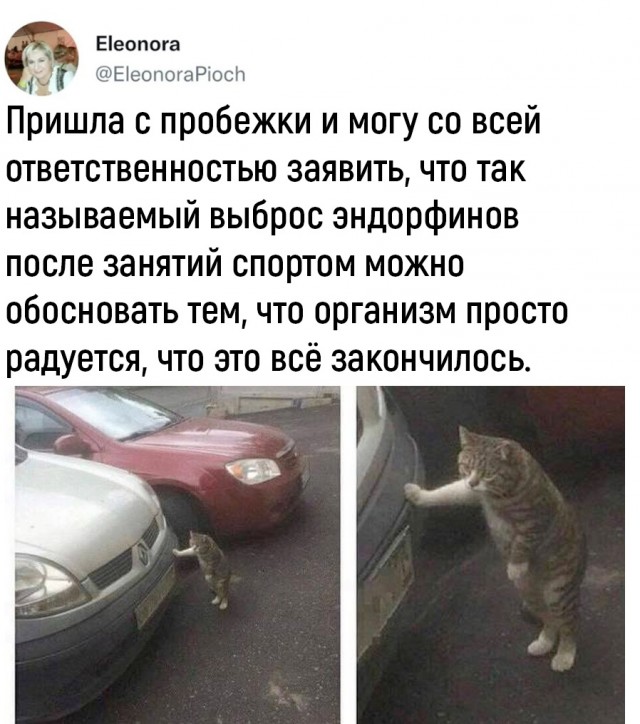 Так себе картинки 12.07.22