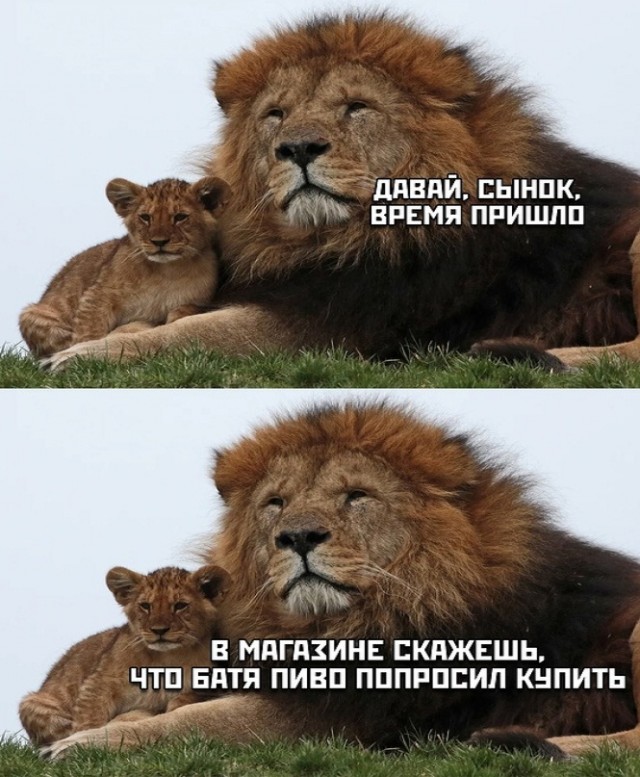 Картинки и мемы для настроения. Выходные близко...
