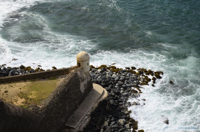 Путешествие по Северной Америке