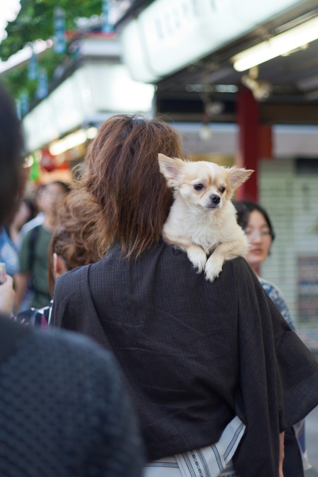 Фотографии с прогулки по Токио