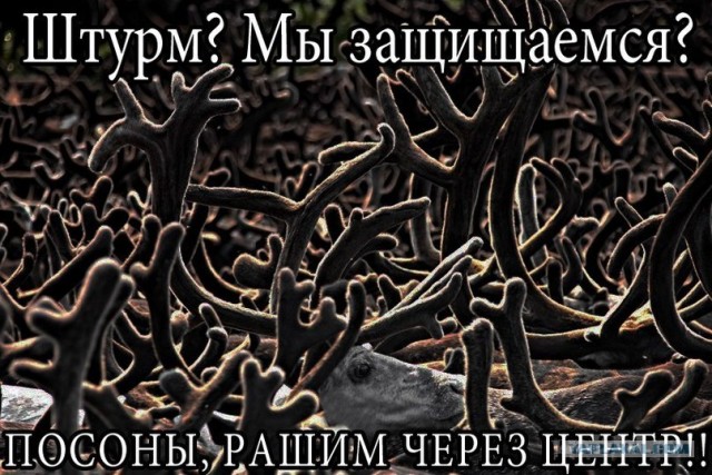 Wargaming 2