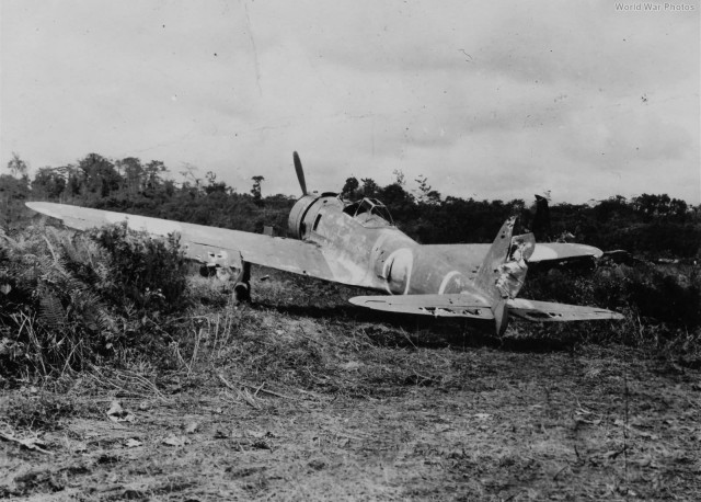 Ki-43 Hayabusa (式戦闘機 隼 ). Сокол-самурай