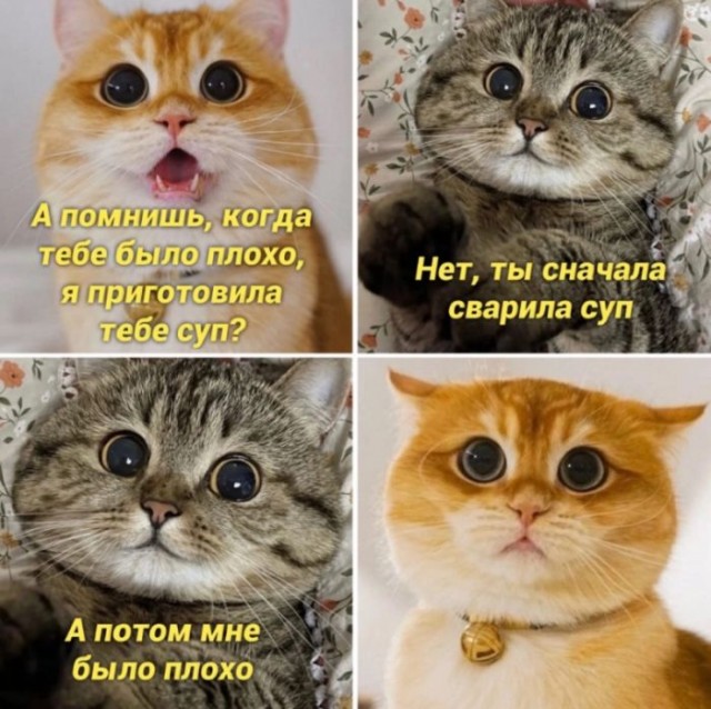 Немного картинок для настроения - 117