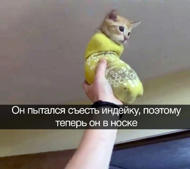 Картинки и мемы для настроения - 133