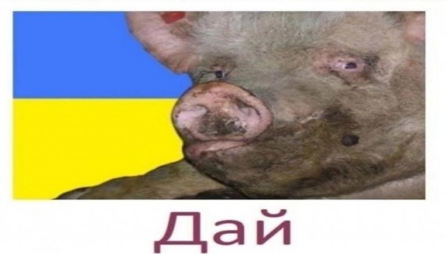 Посла Израиля вызвали в МИД Украины для объяснений по поводу проблем с выдачей кредита и по статусу ЧВК «Вагнер»
