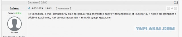 Роман Протасевич помилован