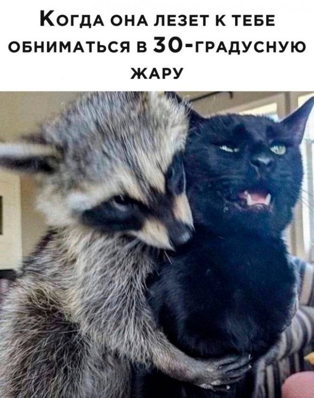 Картинки и мемы, всяко разно - 181