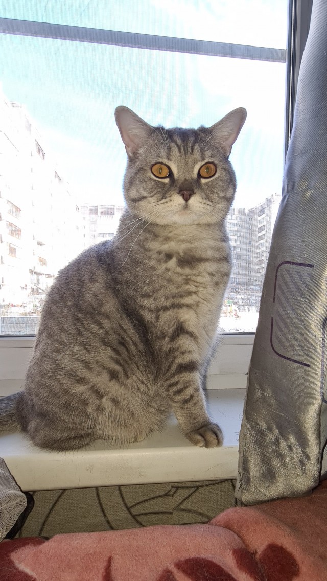 Дёмка вас желает видеть