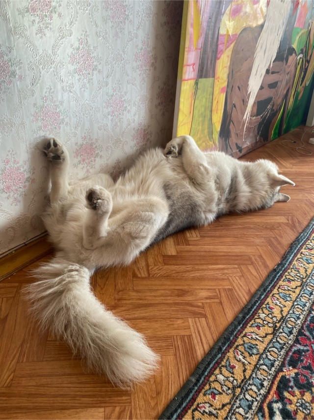 Собакочетверг