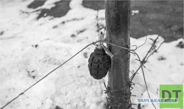 Напомни своей девушке про важность растяжки