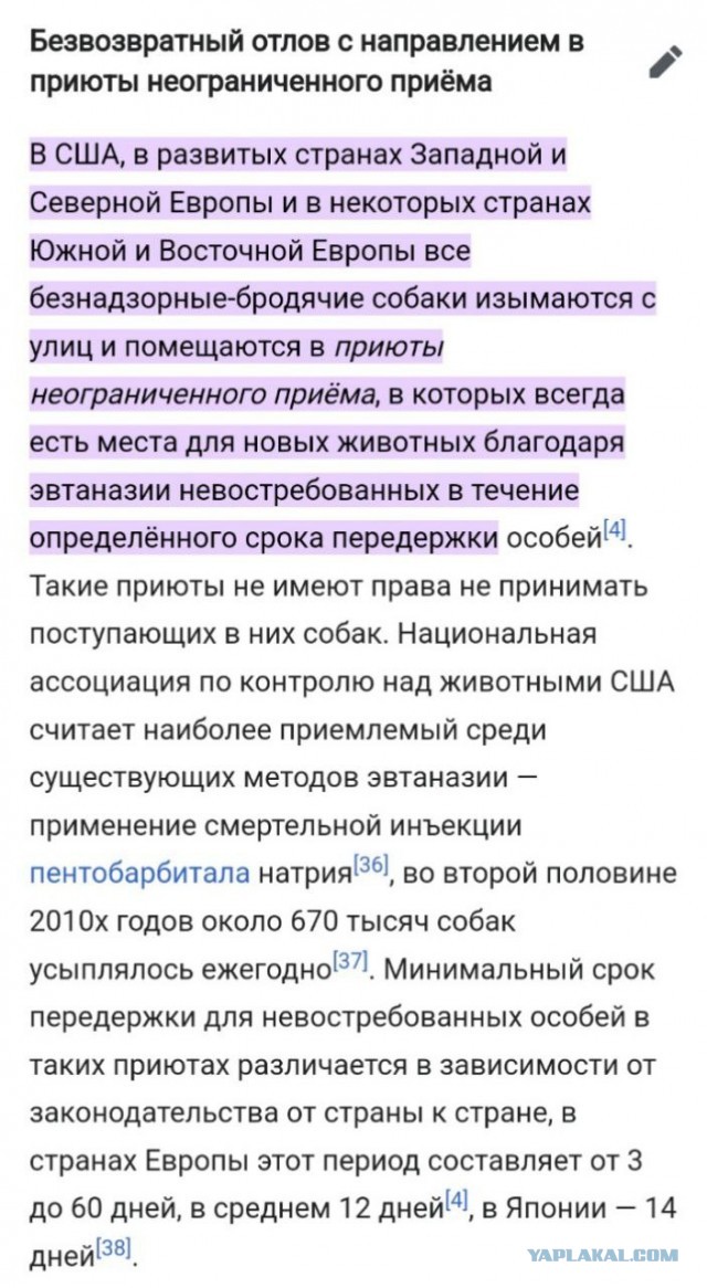 "Мне лично не жалко этого мальчика" - Зоорадикалы устроили скандал в здании оренбургского суда