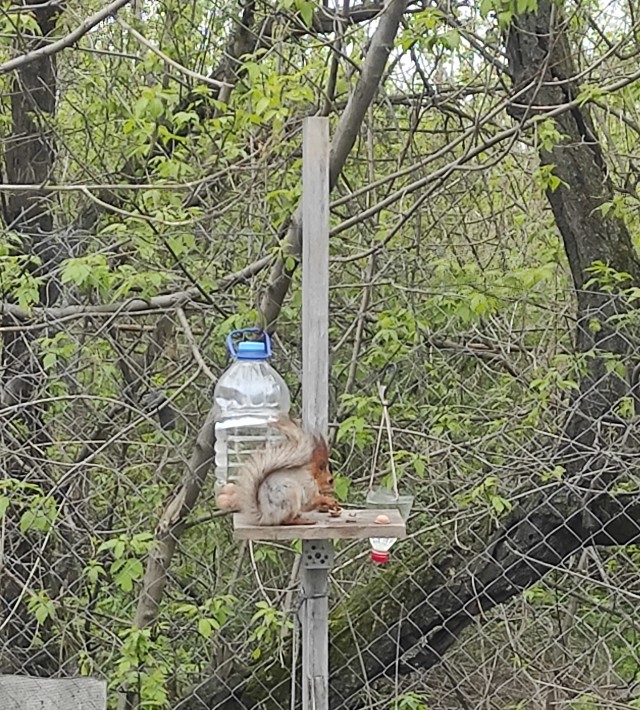 Весточка от Юрия Антонова