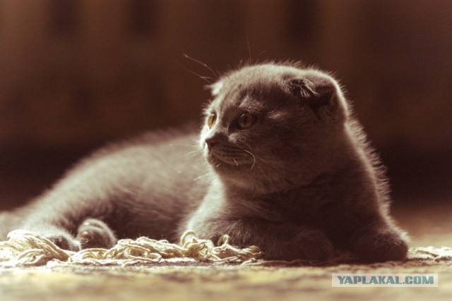 В дали от городской суеты