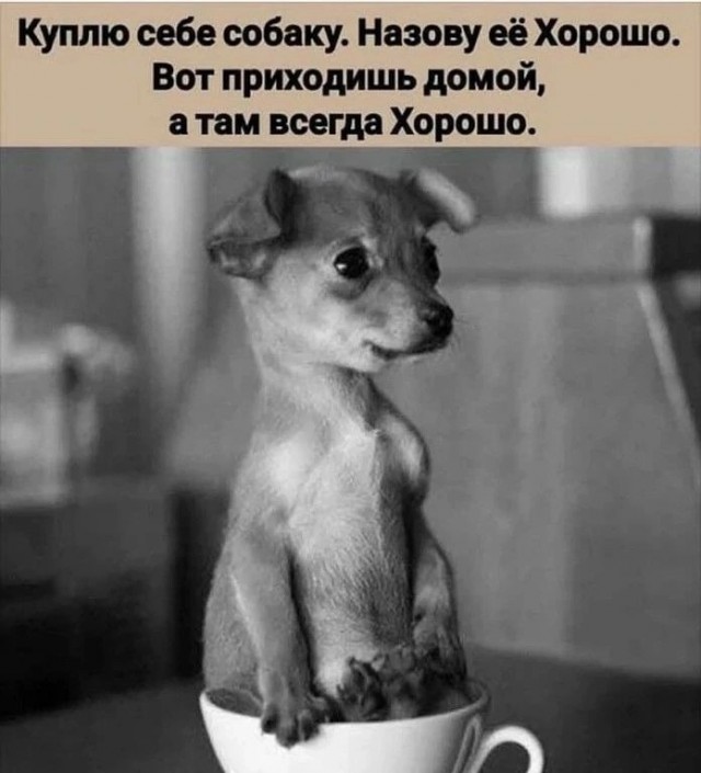 Посмеялся сам - поделись с другом!!!