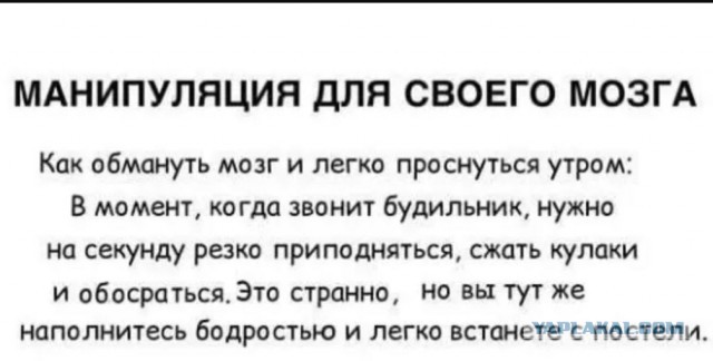 30 картинок на субботу