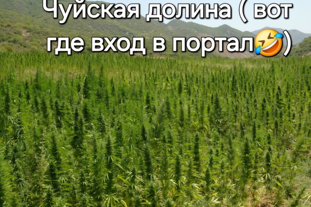 В горах Джунгарского Алатау в Казахстане