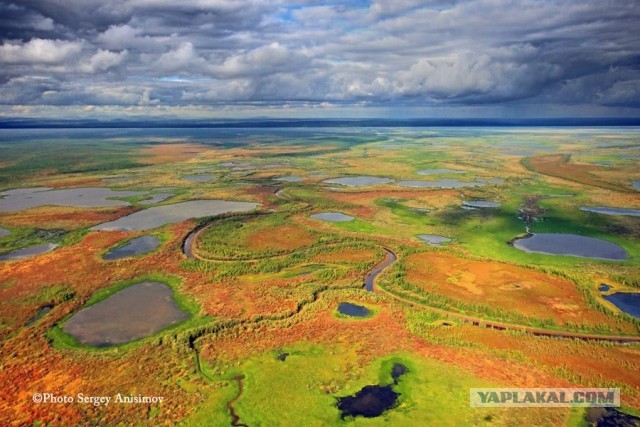 Красота! Лето на Ямале. Фото