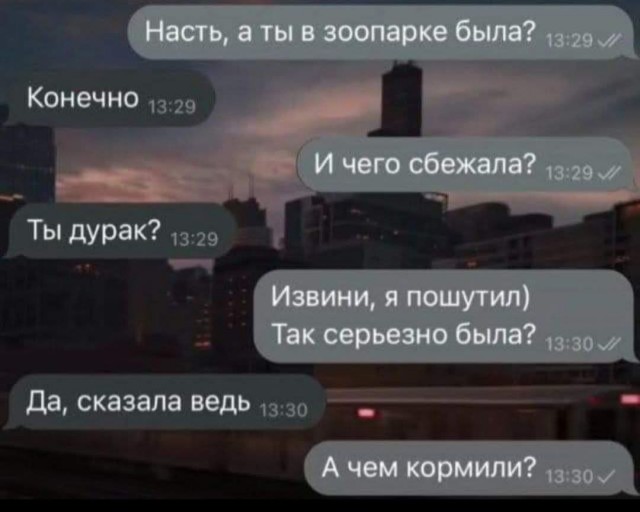80 баянов из вацапов