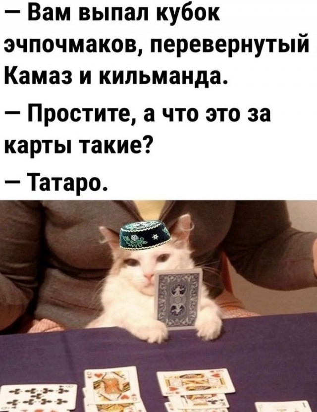 В казанском метро запустили поезда с котами в тюбетейках