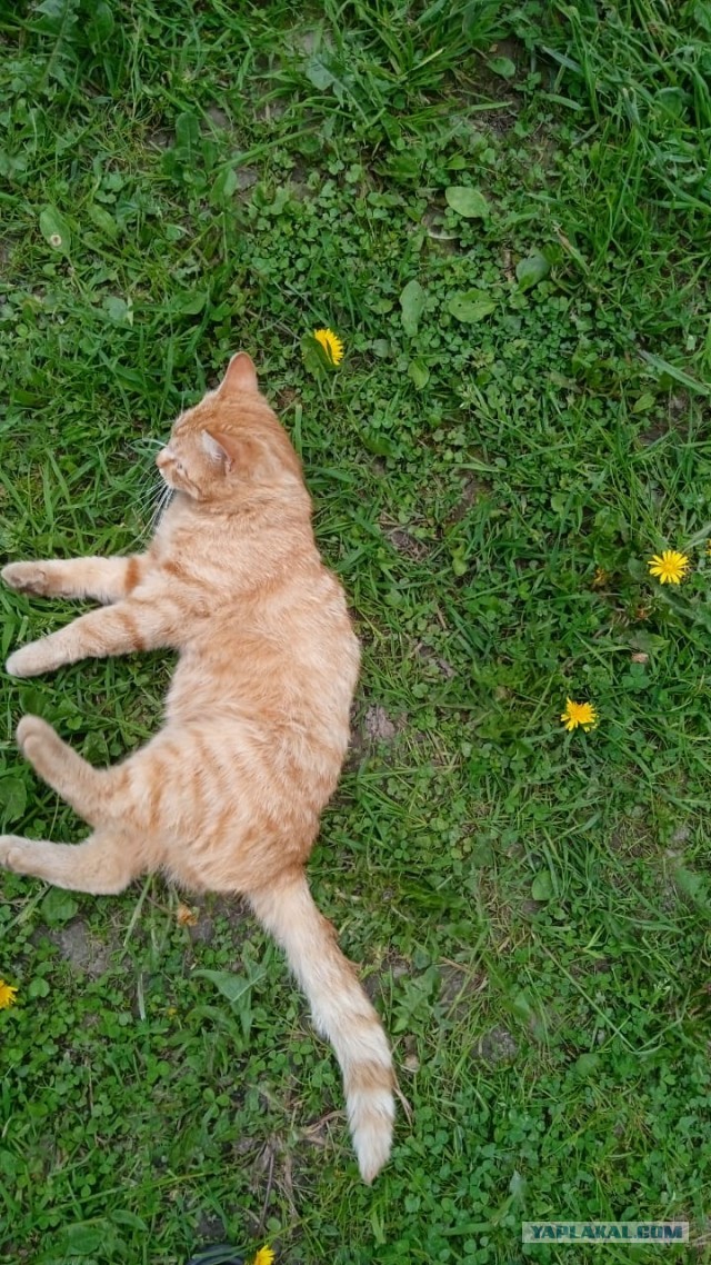 А что, разве нет ?!