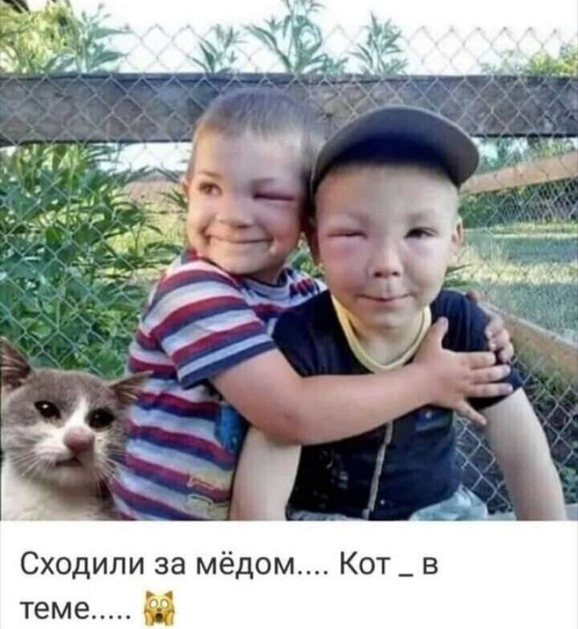 Устранение осиного гнезда