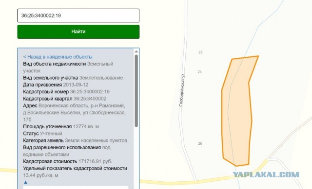Хозяйка пруда