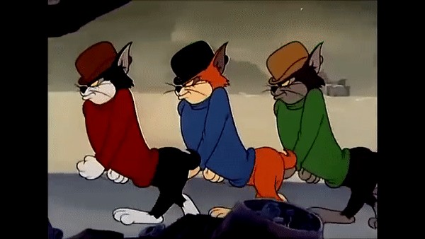 Gangsta коты!