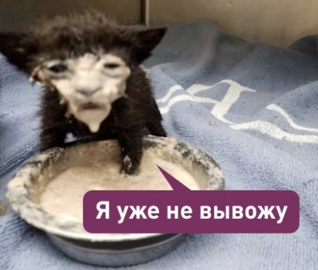 Не вывожу